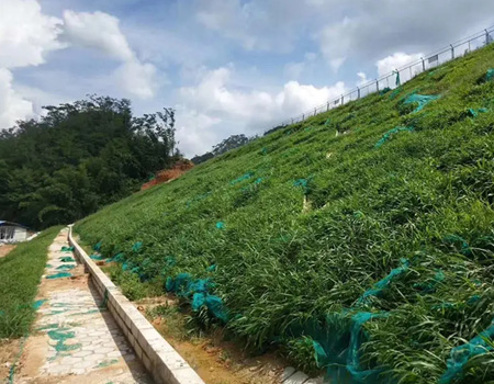 植草护坡