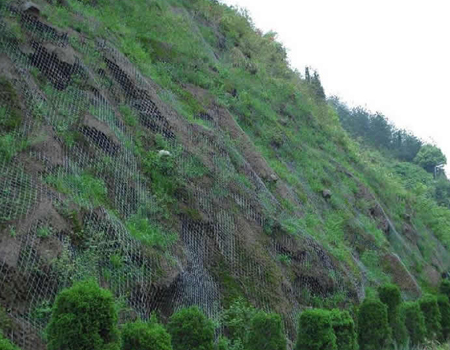 喷播植草